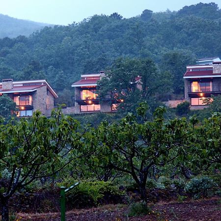 Las Casas De Agapito Poyales Del Hoyo Ngoại thất bức ảnh